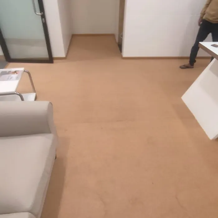 Carpet laid wall to wall in an office cabin